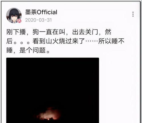 娱乐圈吃瓜大集合txt