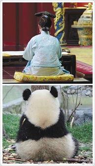 做一回娱乐圈吃瓜群众,揭秘明星幕后故事,做一回吃瓜群众!